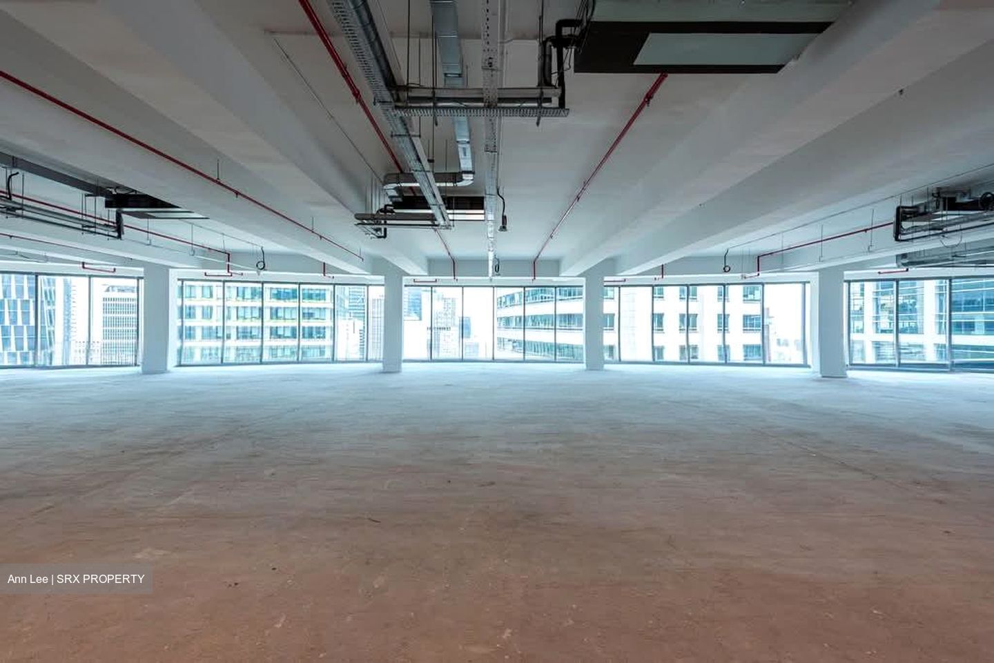 PLUS (D1), Office #559884701
